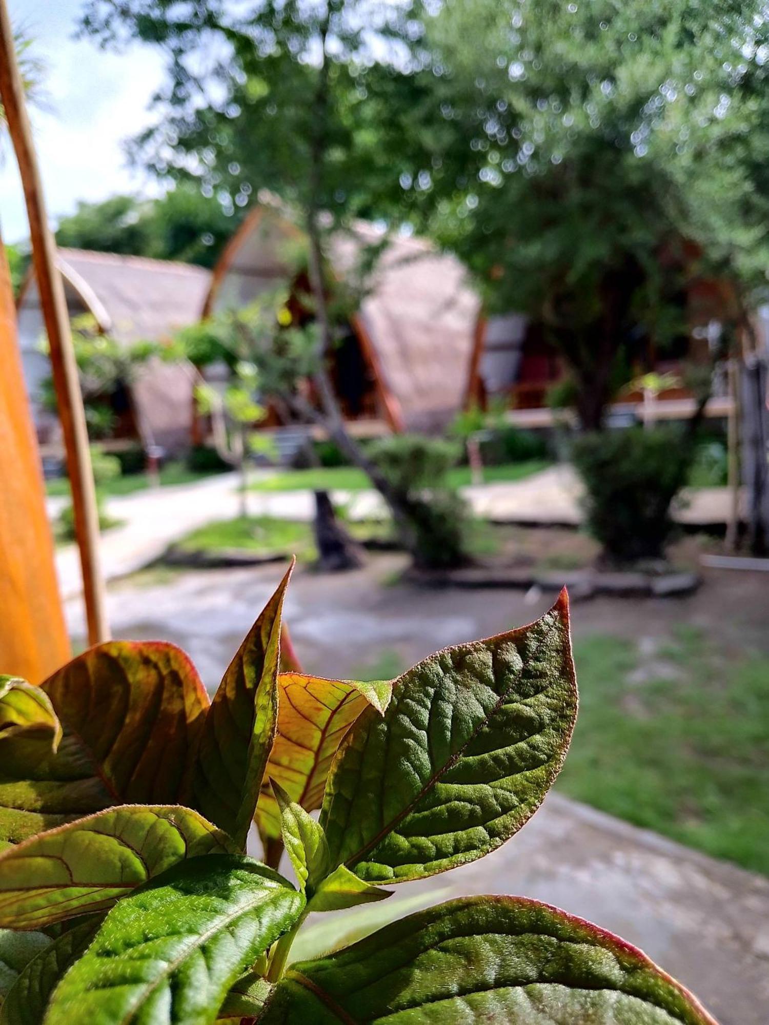 We'Be Cottages Gili Meno Buitenkant foto